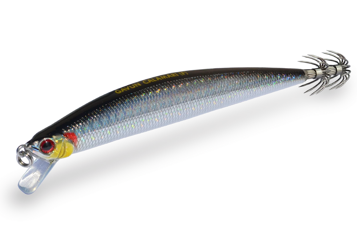 GAVUN CALAMARI 120