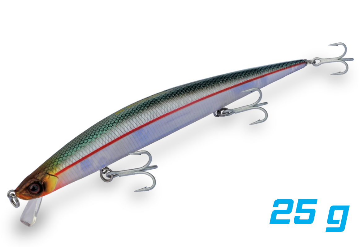 BARRACUDA