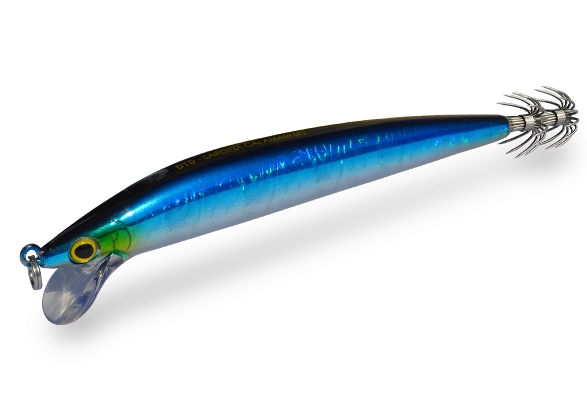 SARDINA CALAMARI