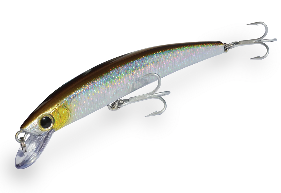 SARDINA