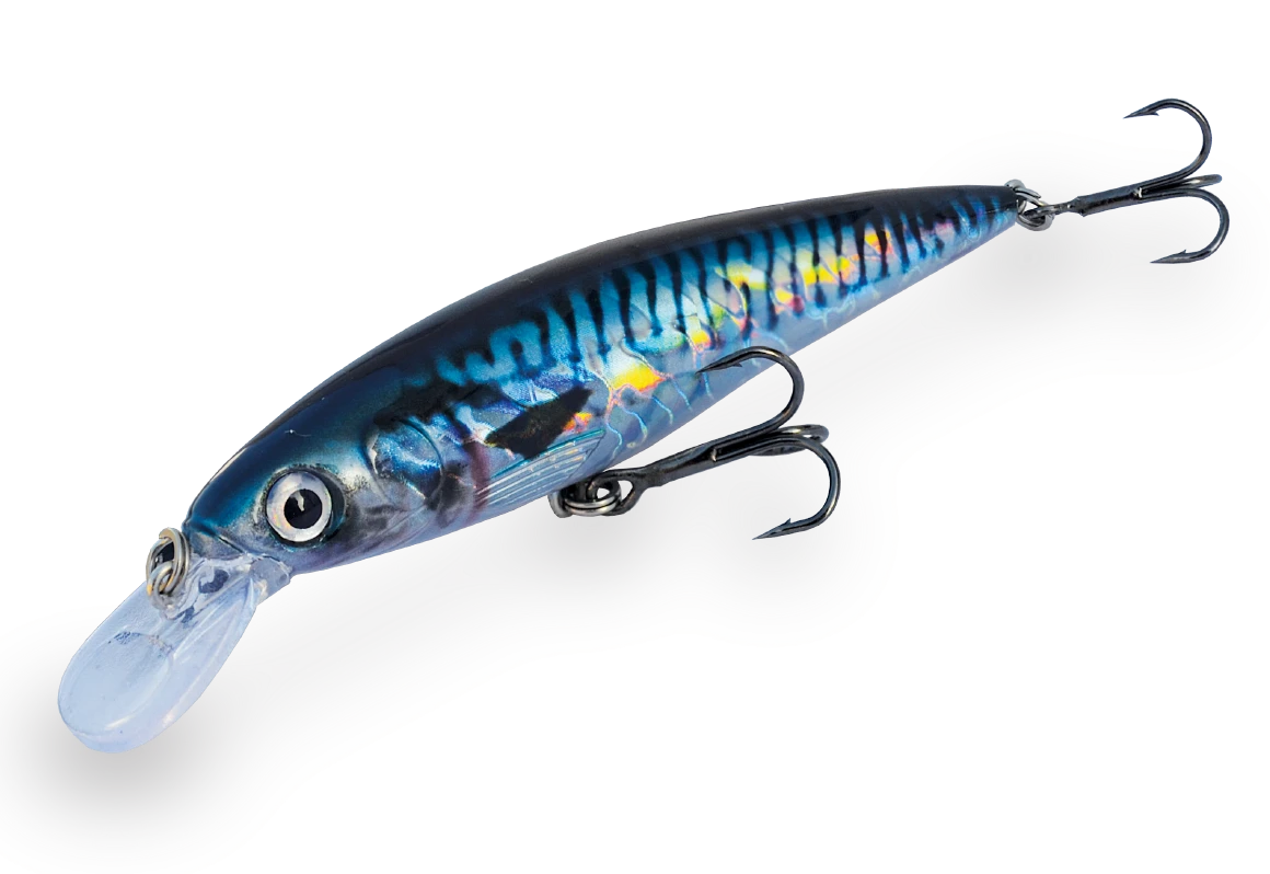 REALISTIC FISH
