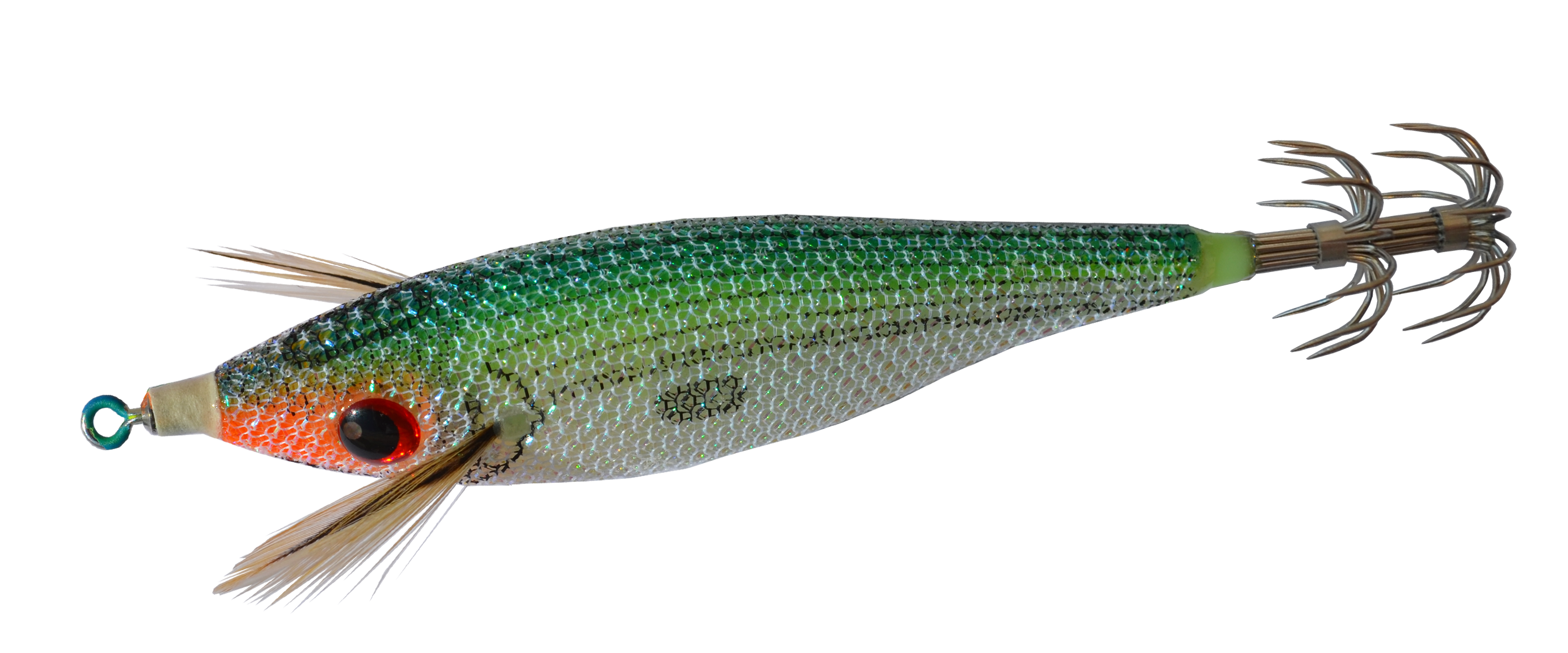 Sardina